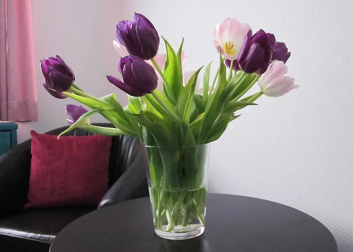 Hotel Anlage Heidelberg