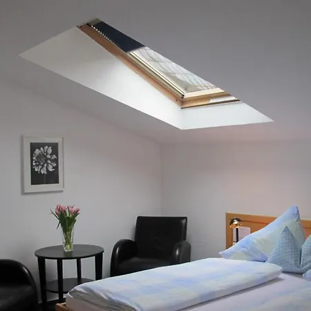 海德堡安拉格酒店 酒店 海德堡