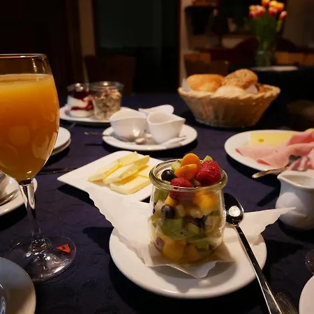 酒店 海德堡安拉格酒店 3*