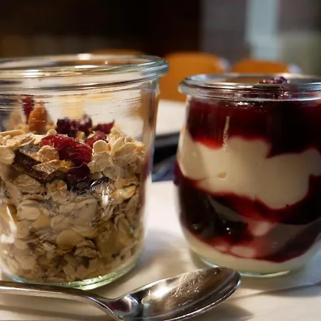 酒店 海德堡安拉格酒店 海德堡