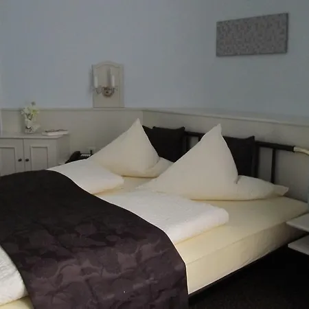 海德堡安拉格酒店 海德堡