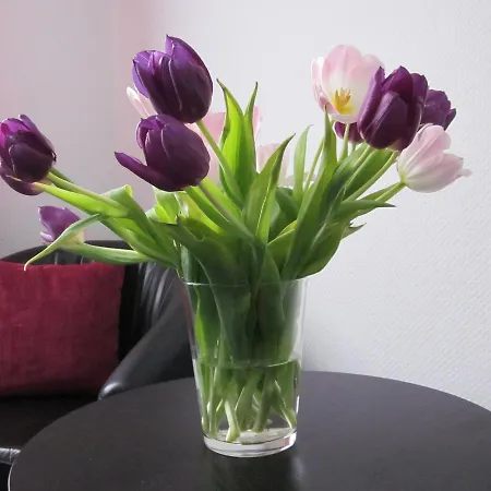 Hotell Anlage Heidelberg