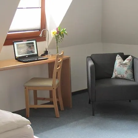 酒店 海德堡安拉格酒店 3*